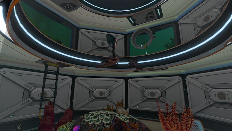 The sandshark tank. Don’t be fooled by its friendly smile.